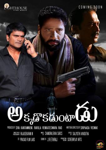 Akkadokaduntadu 2019 Telugu 480p HDRip x264 400MB ESubs